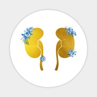 The Kidneys anatomy Magnet